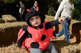 Boo at the Zoo: Mystery and Mischief  Begins This Weekend at  WCS’s Bronx Zoo